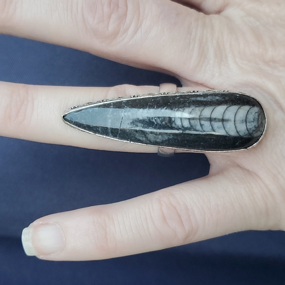 New Oversized Orthoceras Fossil 925 Silver Statement Ring. - Picture 3 of 16